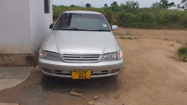 A picture of Nauza Premio Old
