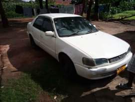 A picture of Toyota collolar 110