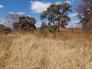 rooms to rent harare
