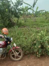 A picture of ANTI MR PROPERTY MANAGEMENT PLOT FOR SALE LOCATED AT KASANJE