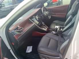 A picture of Harrier 2014