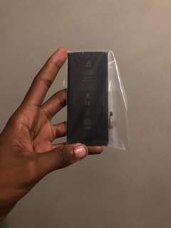 Apple F.