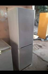 A picture of Gileira