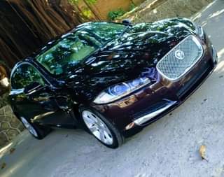 jaguar