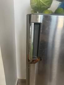 A picture of LG 199L USED REFRIGERATOR FOR SALE FRIDGE LA LG LINAUZWA.