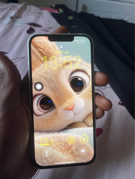 A picture of iPhone 13