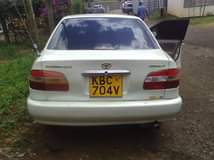 Kiptoo P.