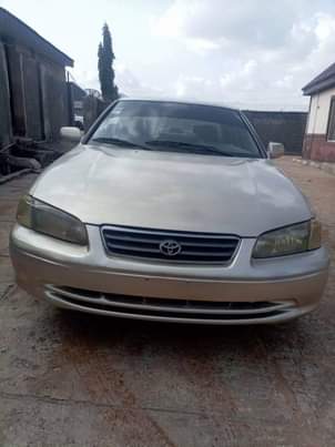 A picture of camry fish light