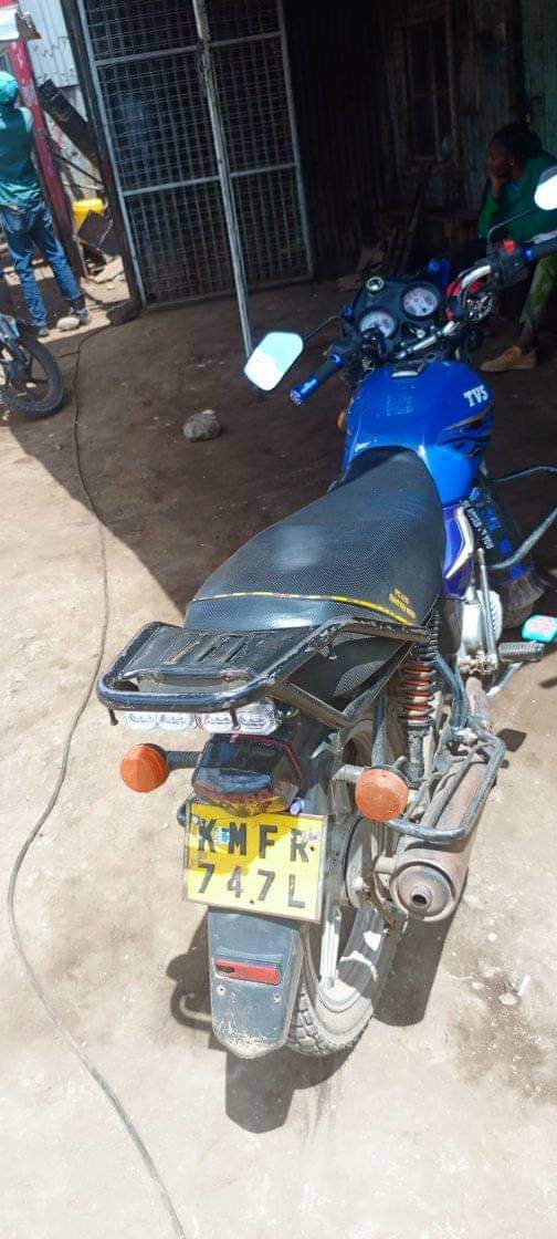 tvs hlx