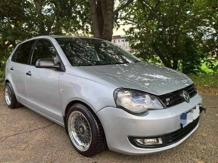 polo vivo