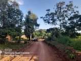 A picture of Agricultural land half acre for sale