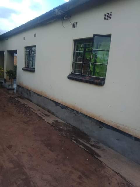 houses livingstone