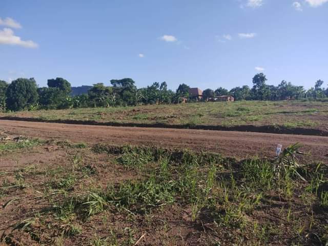A picture of ESTATE AT WAKISO BAKKA