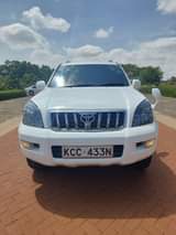 Watson N.