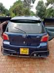A picture of Vitz ..
