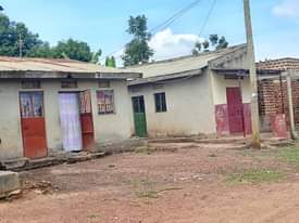 A picture of QUICK SALE 10 SINGLE RENTAL UNITS ON SALE 27M UGX