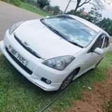 A picture of Toyota Wish 19 5m