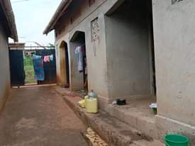 A picture of  Rentals on quick sale Located matugga kavure Seated on