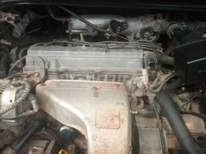 A picture of 5.3m 0653323677