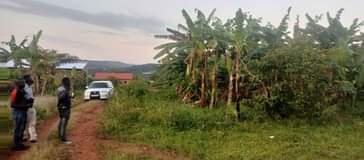 A picture of 100 by 100 ft plots for sale on mukono katosi