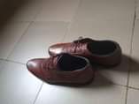 A picture of Men s brown Leather Shoe