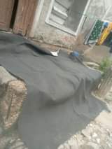 A picture of Zuria kubwa sana