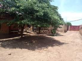 A picture of Une parcelle vendre