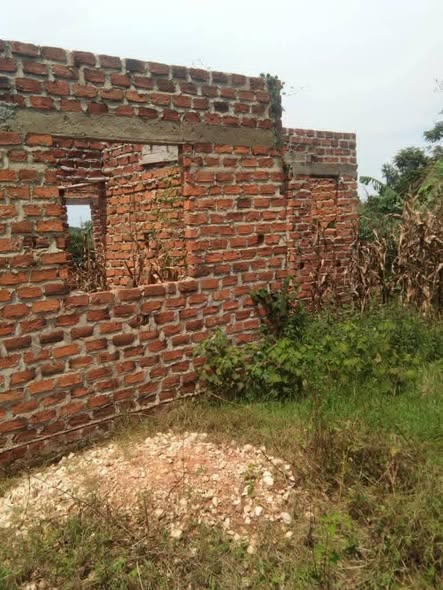 houses matugga