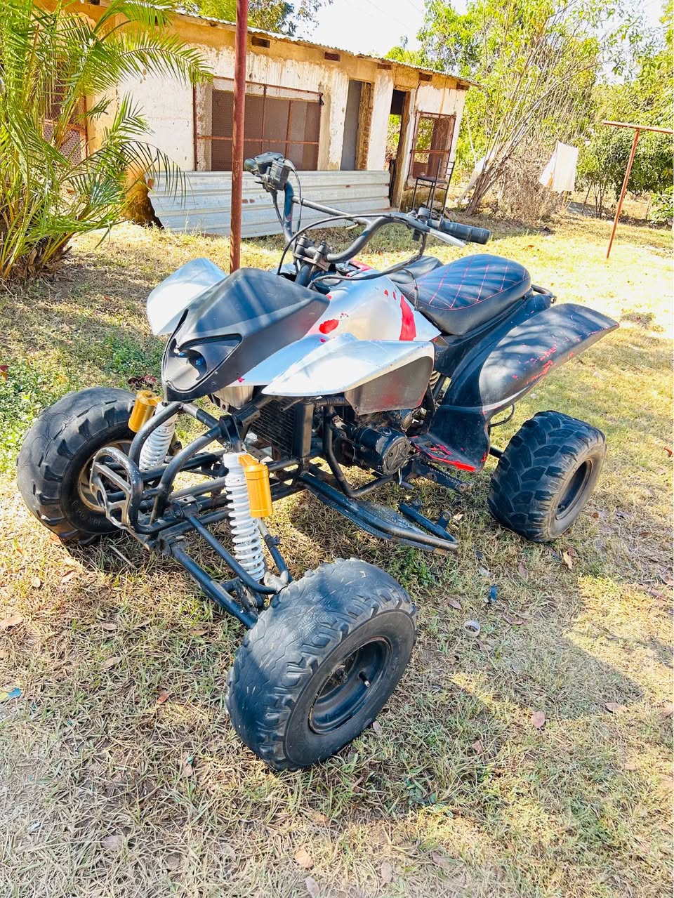 used motorbikes