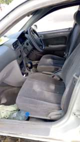 A picture of Corolla bei 3m Cc1490 0688147887