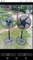 A picture of 0653142079
