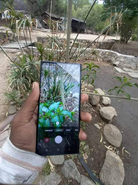 samsung galaxy