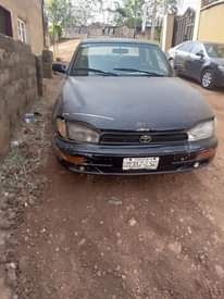 A picture of Camry Orobo
