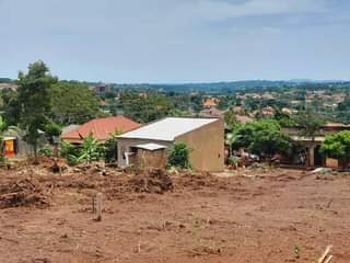 A picture of Wakiso town plots for sale both commercial Residential 25m 45m