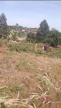 A picture of Nice Plots for sale Price 6millions