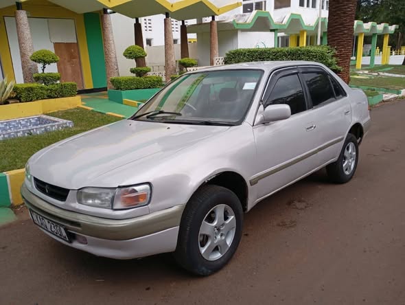 used toyota corolla