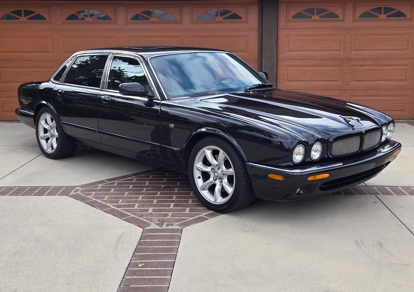 jaguar