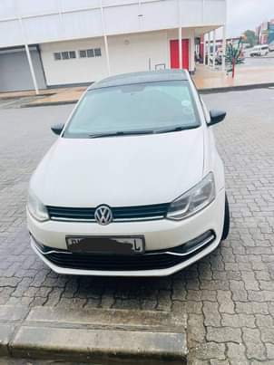 Limpopo C.