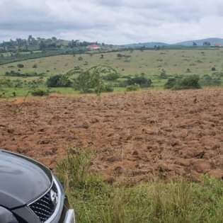A picture of Land