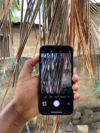 A picture of IPhone X