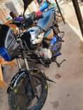 A picture of Boxer bei 700k piga au