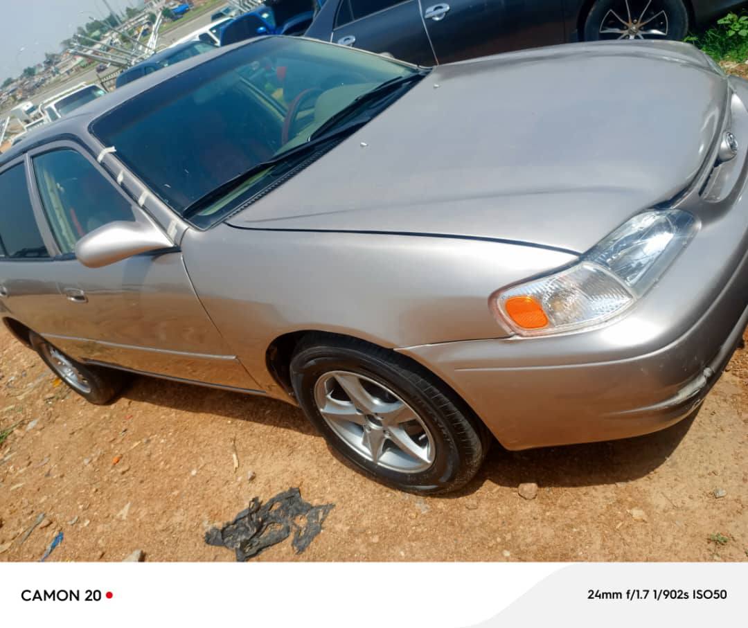 A picture of Toyota Corolla small but mighty