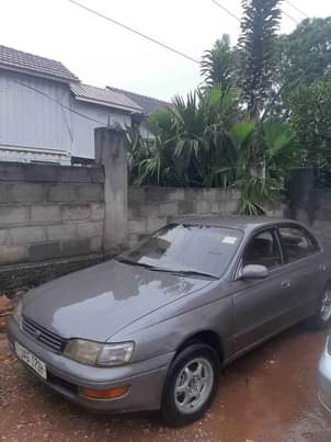 A picture of KIBINA new card 6m CALL 0701488581 WHAT S APP 0776417404