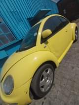 Chisvo C.