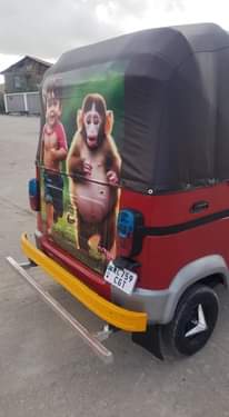 A picture of Tvs king