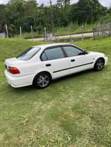 White F.