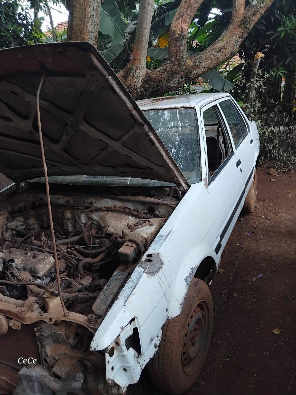 used toyota corolla