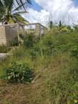 A picture of Pagala linauzwa ml 5