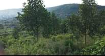 A picture of  HOT DEAL QUICK 6.5m each SALE 80 ACRES OF
