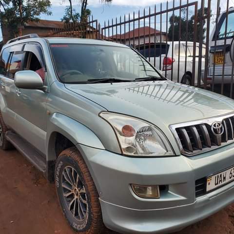 A picture of Tx ronado on sale